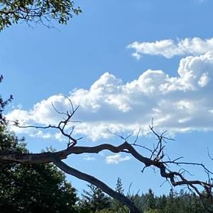 Meet your Posher, Rosemary